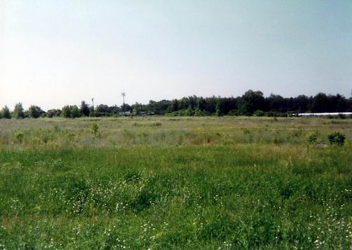 Pontiac Drive-In Theatre - 1994 Lot From Greg Mcglone (newer photo)